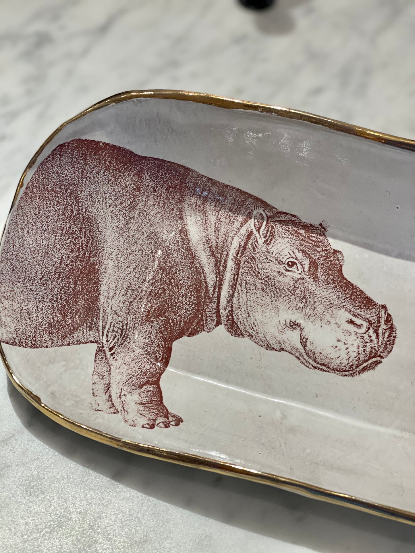 Hippo Dish