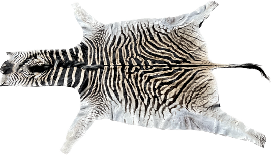 Zebra Hide