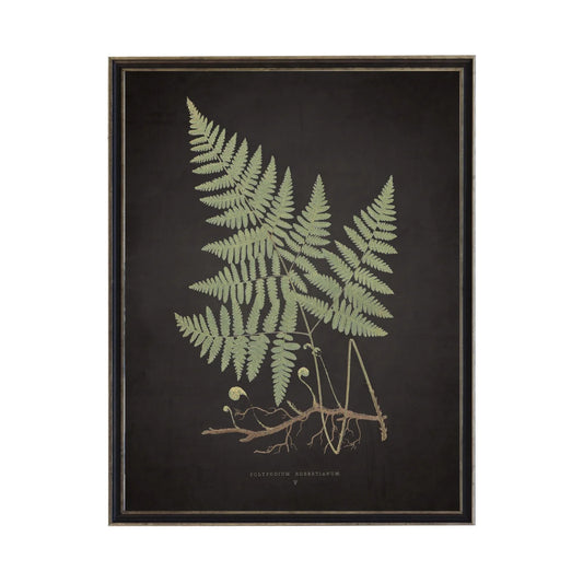 Fern Print- Black (D)