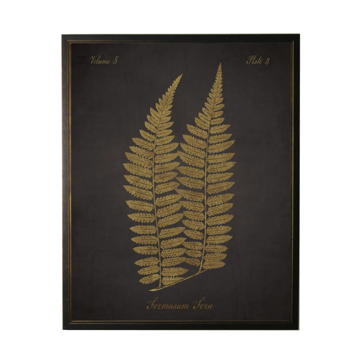 Fern Print- Black Sepia (F)