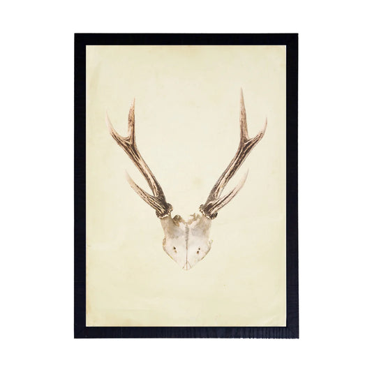 Antler (D)