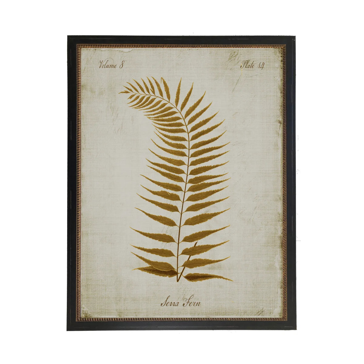 Fern Print- Sepia (E)