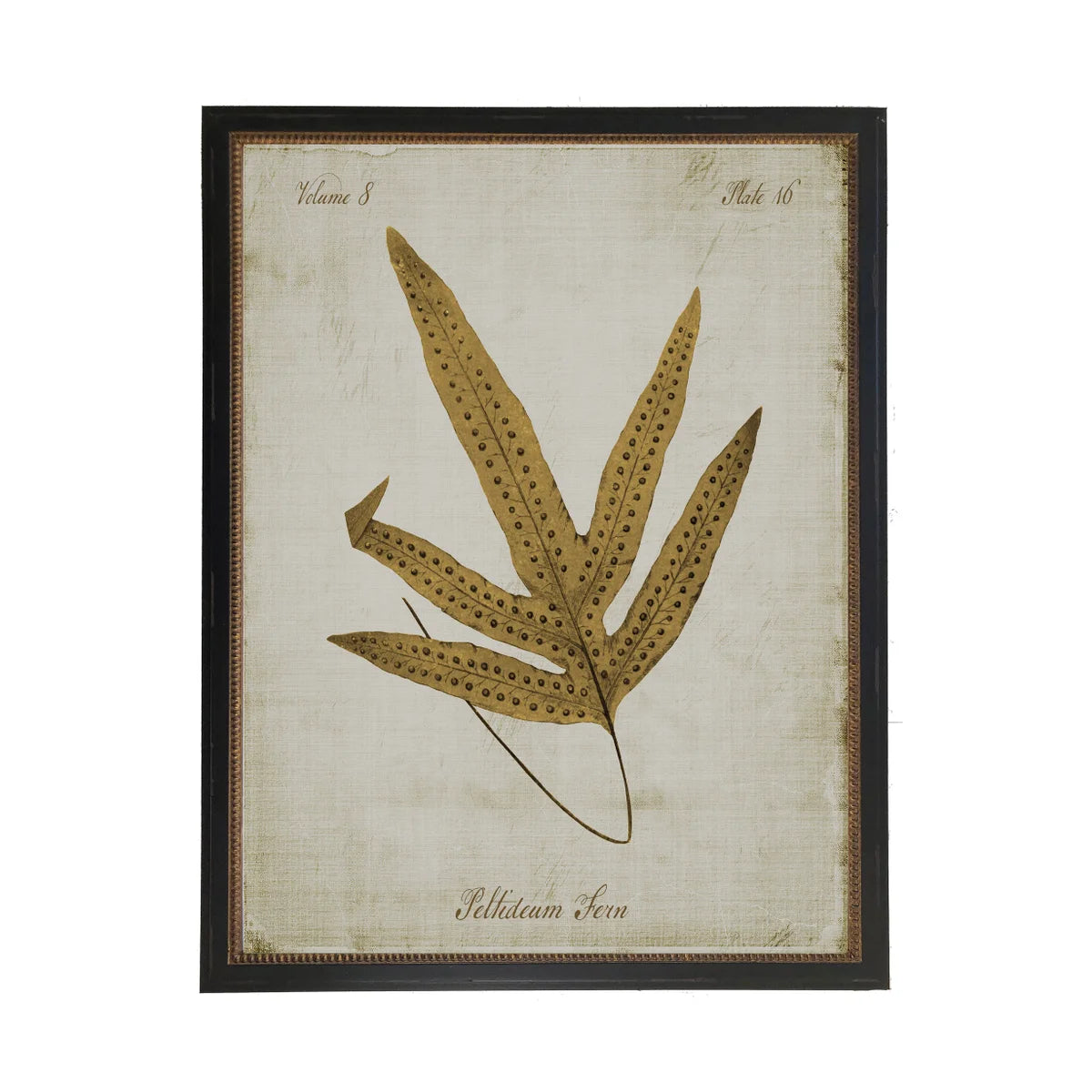 Fern Print- Sepia (H)