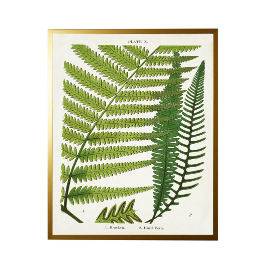 Fern Print- White (C)