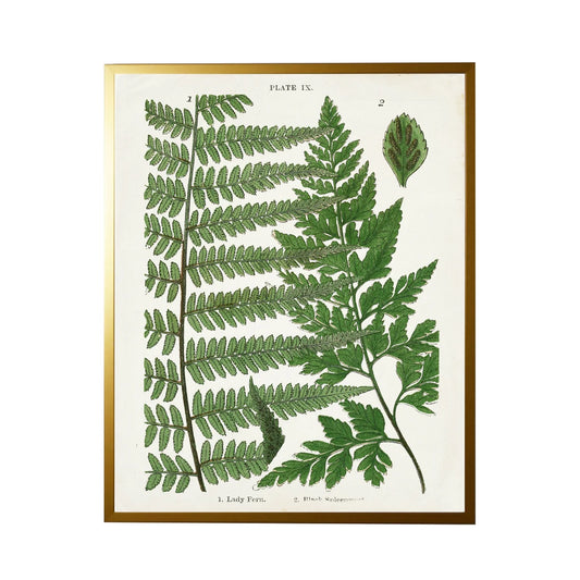 Fern Print- White (E)